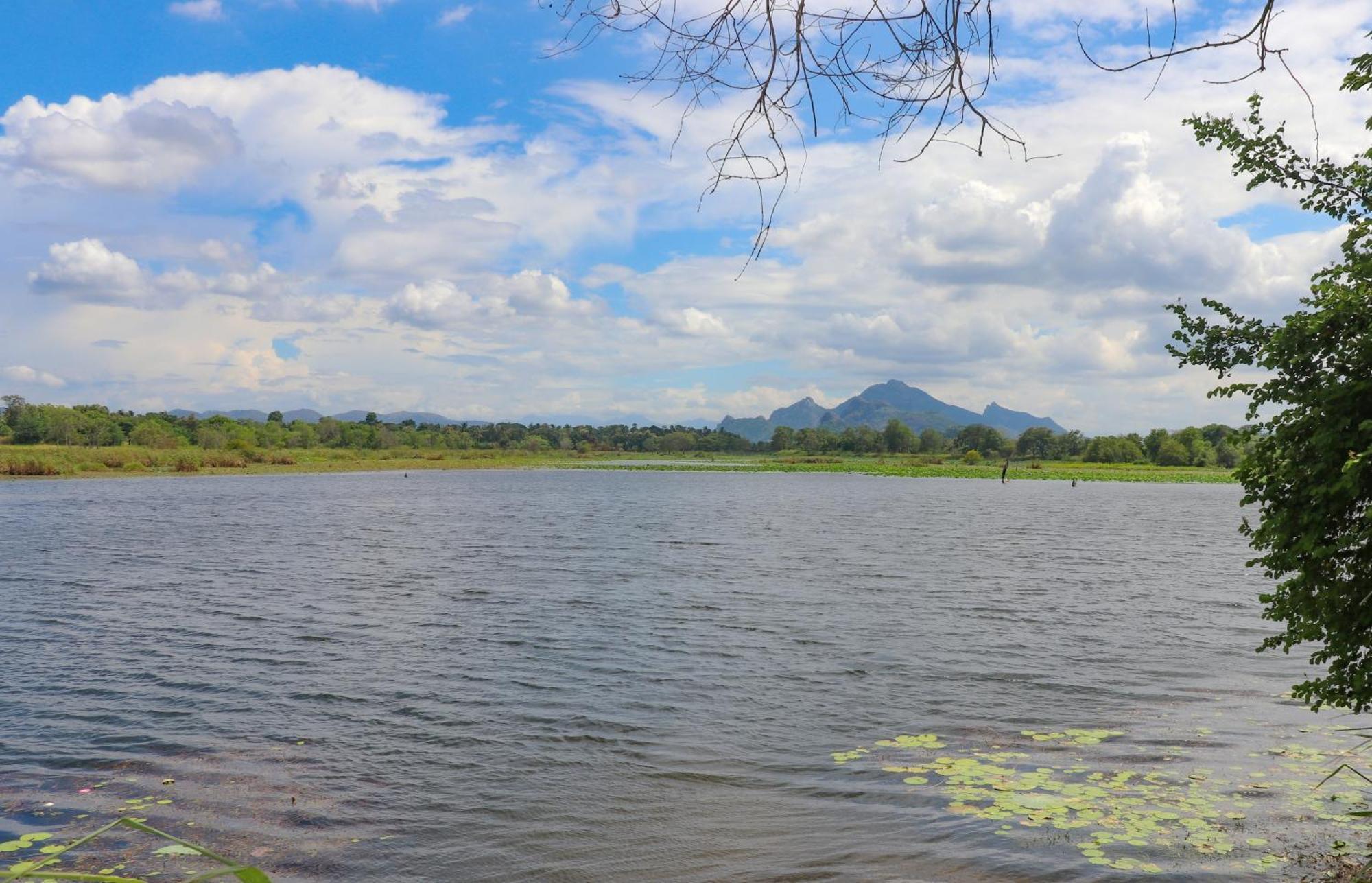 Bungalow Resort - Sigiriya Luaran gambar